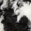 Black & White Faux-Fur Jacket - Image 5